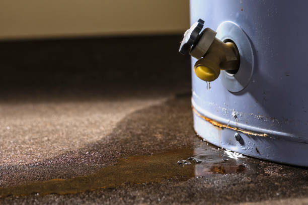 Best Water damage restoration process  in Vandalia, MO