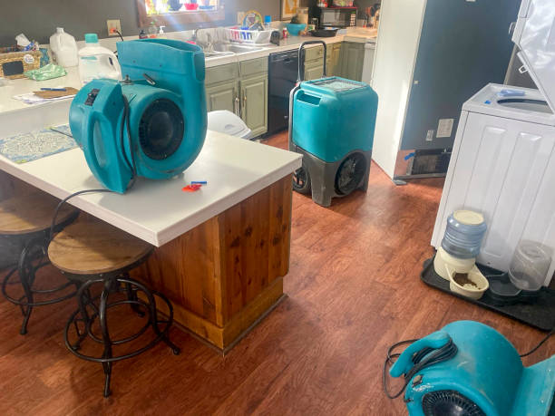 Best Fire Damage Restoration  in Vandalia, MO