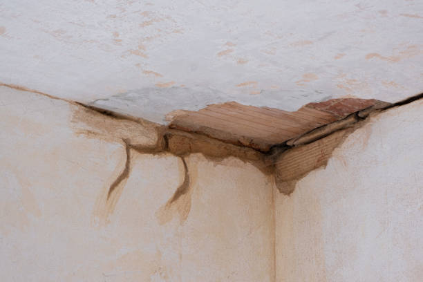 Best Sewage cleanup and water damage restoration  in Vandalia, MO