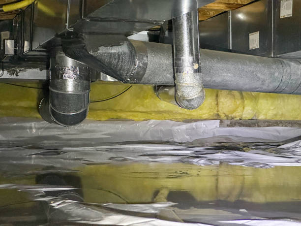Best Water damage restoration company  in Vandalia, MO