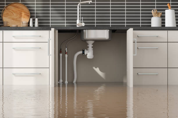 Best Water damage restoration specialists  in Vandalia, MO