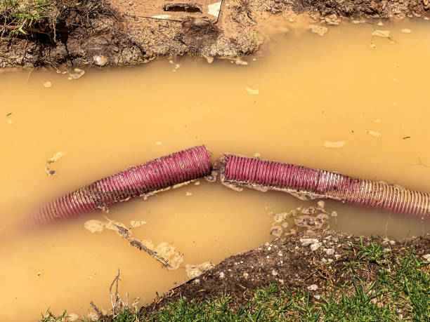 Best Flood restoration services  in Vandalia, MO